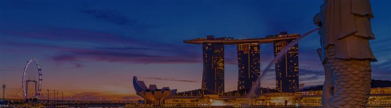 Discover Singapore Public Holidays background image